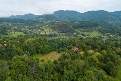 Casă individuală cu 3 camere cu Teren 9995 Mp în Ormindea - 12