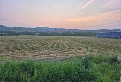 Teren intravilan de vanzare Calea Baciului 5.000 mp - 3