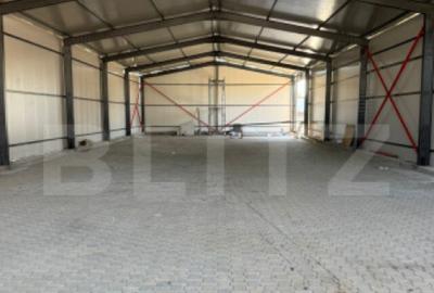 Hala industriala -zona Colanu - 5