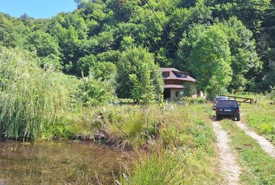 VANZARE ANSAMBLU CASUTE BRADULET ARGES - 22