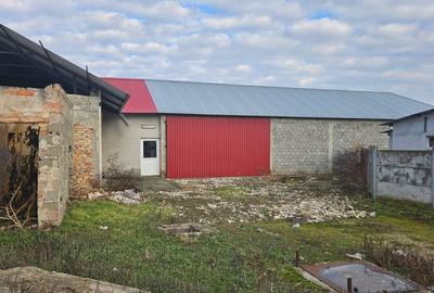 Casă individuală cu 4 camere cu Teren 6700 Mp în Gelu - 1