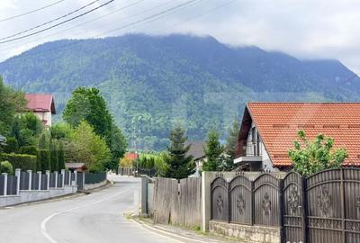 Teren în Tohănița - 2