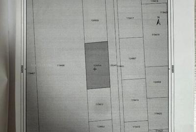 Teren 550 mp cu proiect și autorizație de construire incluse - 7