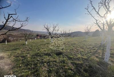 Teren de 3100 mp, în Nimigea - 4