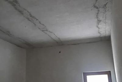 Casă cu 2 camere cu Teren 680 Mp în Lucieni - 1