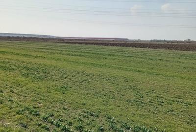 Teren de 20000 mp, în Ștefăneștii de Jos - 1