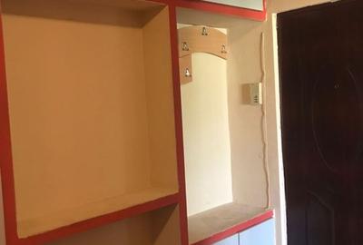 APARTAMENT 2 CAMERE LIPOVEI - 9