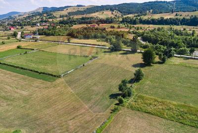 Teren Manastirea Humorului / Strada Principala 22,238 MP - 7