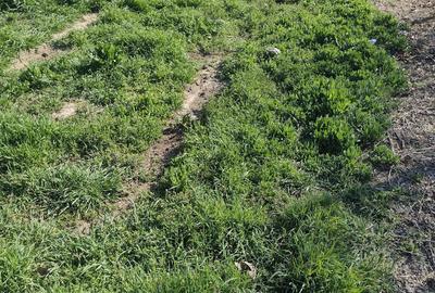 Teren Construcții intravilan de 400 mp, în Poiana - 3