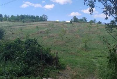 RECO Teren intravilan, Topesti - 2