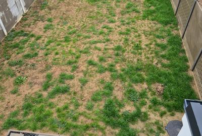 4 Cam-Sag-Central-98 MP-P+1-330MP Teren--Finalizat-Centrala-143.000 Euro ! - 27