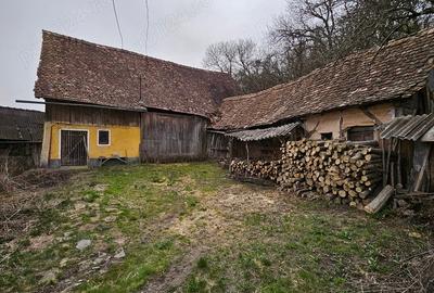 Casă cu 3 camere cu Teren 1300 Mp în Grânari - 6