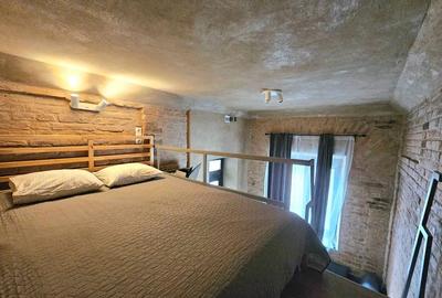 Studio Micut tip loft Ultracentral