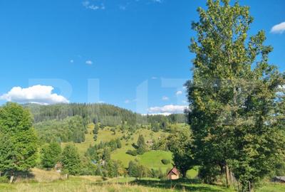 Teren de 2500 mp, în Central - 8