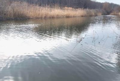 Teren Construcții intravilan de 900 mp, în Snagov - 4