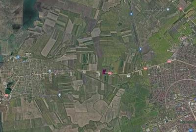 Oportunitate!!! 5 hectare, DN56A Timisoara-Sacalaz, langa centura - 4