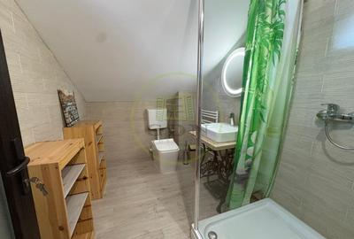 Casă individuală cu 5 camere cu Canalizare în Cârcea - 17