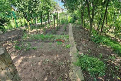 Casa cu etaj,S+P+E 791mp teren Zona Schit - 27