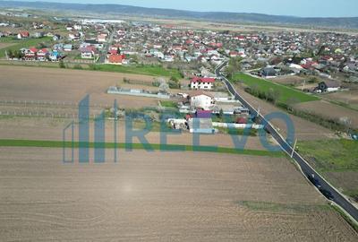 Teren de vanzare, Com. Nicolae Balcescu, Jud. Bacau - 6