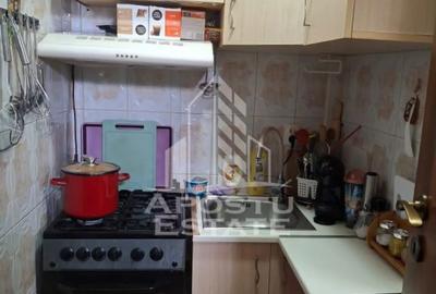 Garsonieră semidecomandată, mobilată în Buziașului - 3