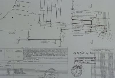 Vand teren intravilan 22500 mp ,industrial, Breasta-DOLJ,50 eur/mp - 2
