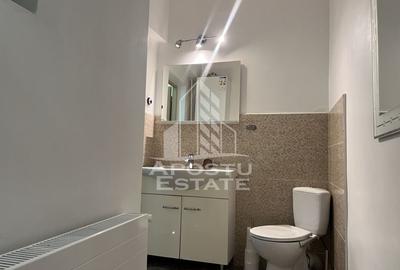 Apartament cu 2 camere, parter, curte, zona Piata Maria - 6