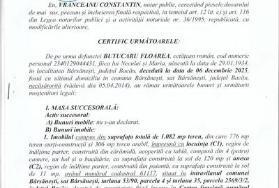 Casă cu Teren 3384 Mp în Bârsănești - 8