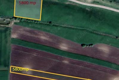 Teren de 5800 mp, în Grindeni - 2