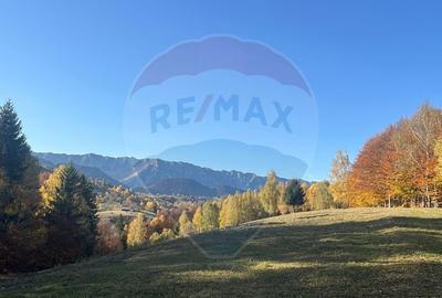 Oportunitate de investitie ! Teren de vis in Pestera - ... - 7