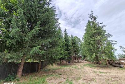 Apartament cu 3 camere în Glăjărie - 9