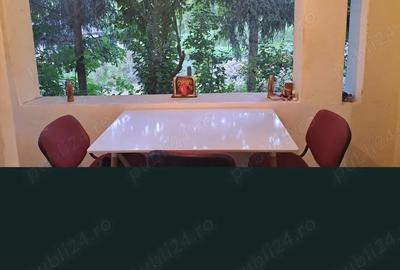 Casă cu Teren 1600 Mp în Ștefănești
