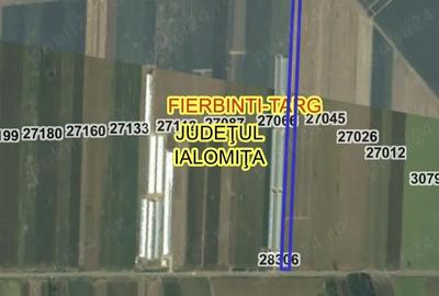 Teren de 10000 mp, în Fierbinți-Târg - 2