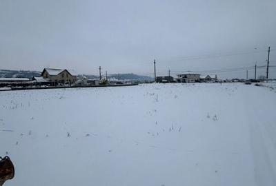 Spațiu comercial, în Viișoara - 3