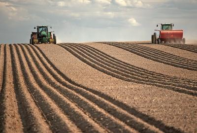 Vând 3 ha teren agricol , 7000 €/ha - 1