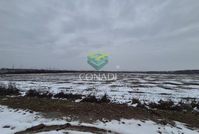 Teren Construcții intravilan de 2643 mp, în Nord - 3