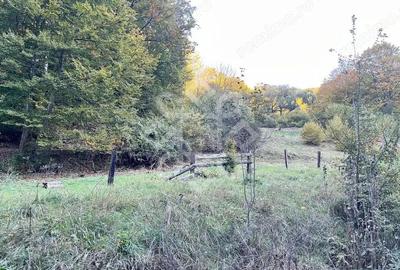 Teren pentru casa de vacanta pe Valea Bratcutei, Bihor - 2