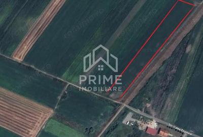 Teren de 8275 mp, în Ciugud - 1