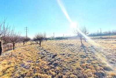 Descoperă Terenul Ideal: 390mp în Daia, Sibiu - 2