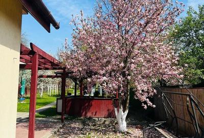 Casă cu Teren 1230 Mp în Central - 3