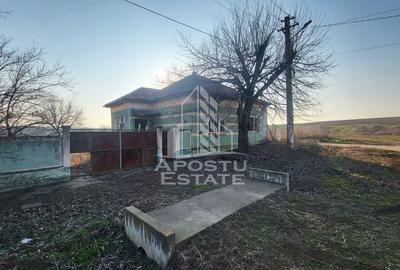 Teren de 3844 mp cu proiect autorizat pt casa individuala,in Pischia, - 3