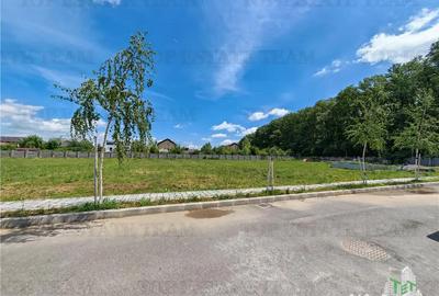 Teren de 4256 mp, în Corbeanca - 2