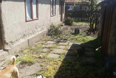 Casă cu Teren 900 Mp în Ciocănești - 5