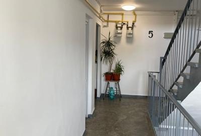 Apartament cu 2 camere decomandat, mobilat în Rahova - 13