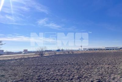 Vanzare I Teren I Suceava/Stroiesti I 100 ARI 2999 Euro/Ar - 5