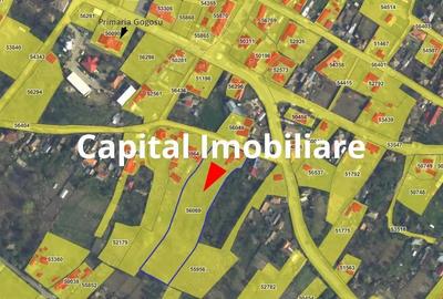 Casă cu Teren 6299 Mp în Gogoșu