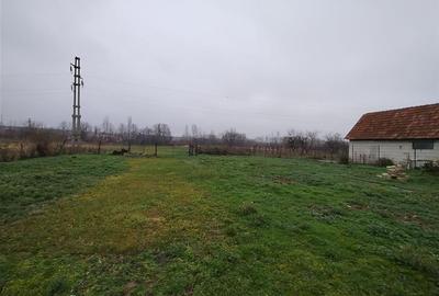 RECO Casa de vanzare in Voievozi - 17