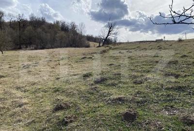 Teren extravilan in suprafata de 7500 mp la poalele Mesesului - 2