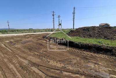 Terenuri Intravilane  Harman - 6