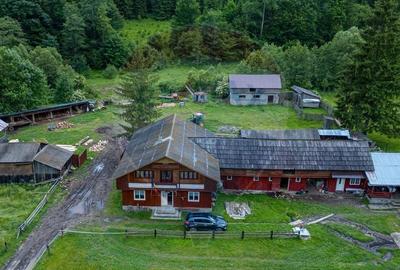Ferma de vanzare, teren 21436 mp intravilan, Cosnea, Agas - 2