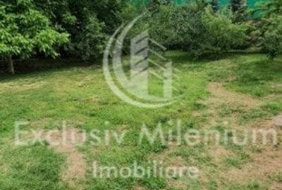 Casa la Padurea Rosu 650Mp + Teren ideal Activitati Comerciale/Birouri - 3